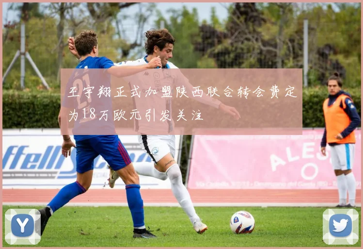 王宇翔正式加盟陕西联合转会费定为18万欧元引发关注