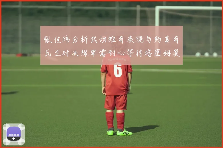 张佳玮分析武切维奇表现与约基奇瓦兰对决绿军需耐心等待塔图姆复出