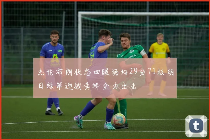 杰伦布朗状态回暖场均29分71板明日绿军迎战黄蜂全力出击